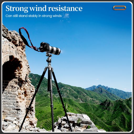 T-Roc Max Tripod - Image 10