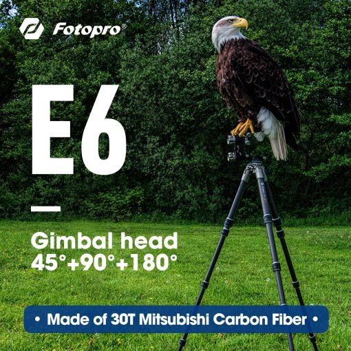 E6 Gimbal Head Tripod
