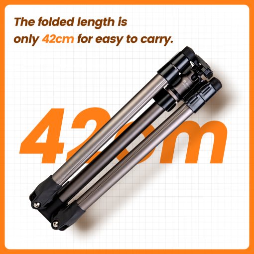 D5+42Q Basic Tripod - Image 2