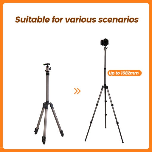 D5+42Q Basic Tripod - Image 3