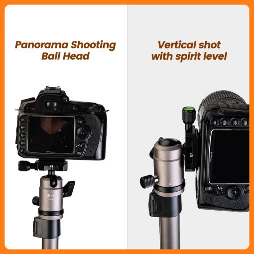 D5+42Q Basic Tripod - Image 8