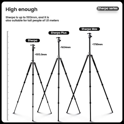 Sherpa - Image 7