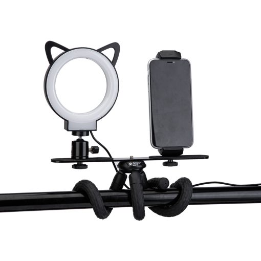 L1 - Image 2