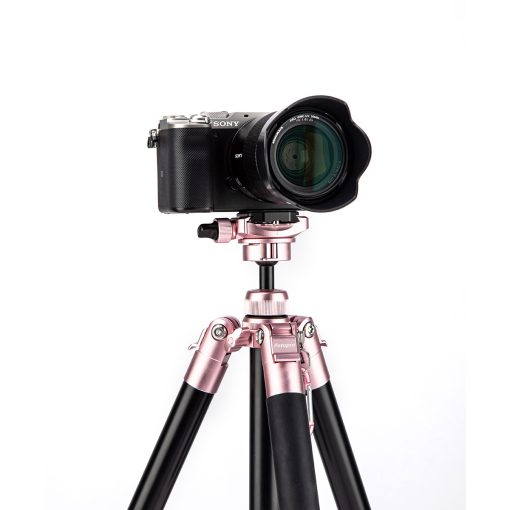 Free-1 Compact Tripod - Image 8