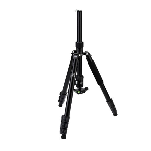 F5 - Image 4