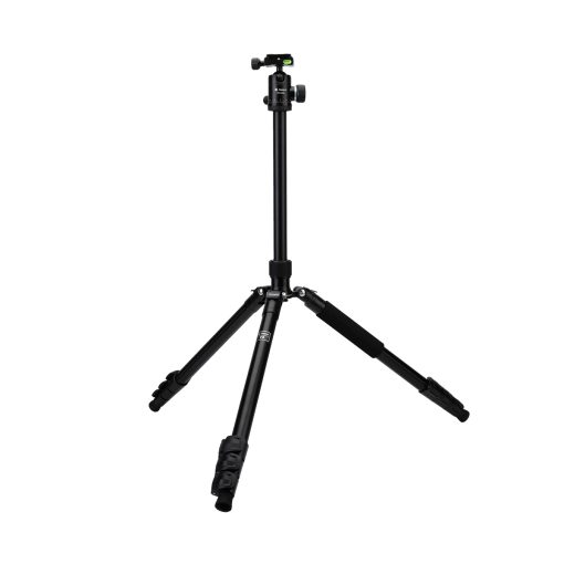 F5 - Image 5