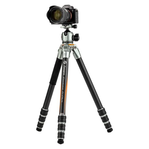 T1 Plus - Image 18