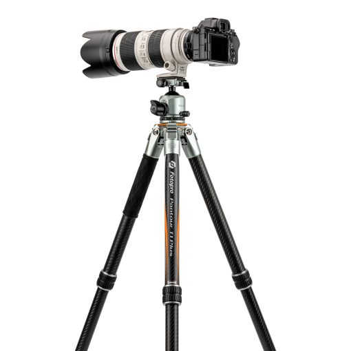 T1 Plus - Image 17