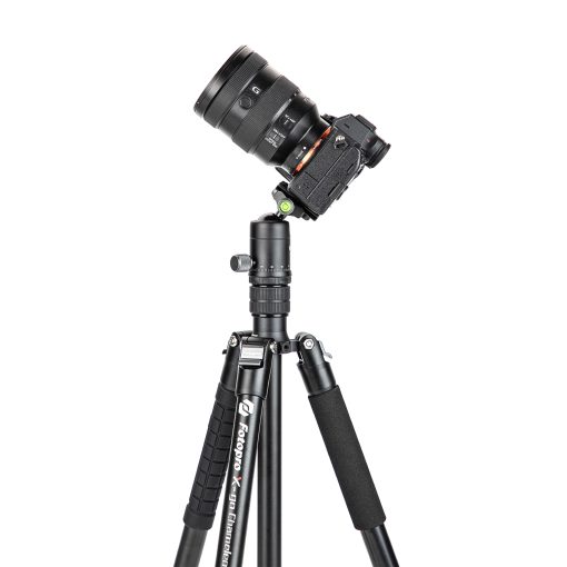 X-go Chameleon E 2 - Image 2