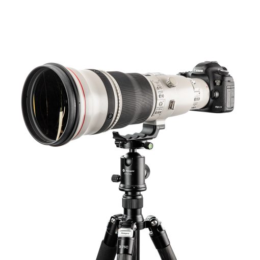 FLP-C10 - Image 9