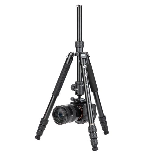X-go Chameleon E 2 - Image 5
