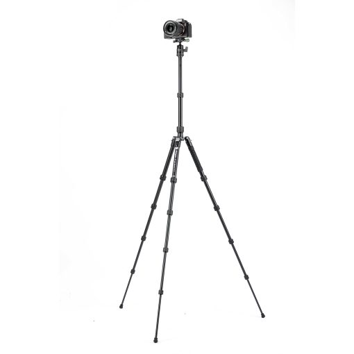 X-go Gecko E 2 - Image 7