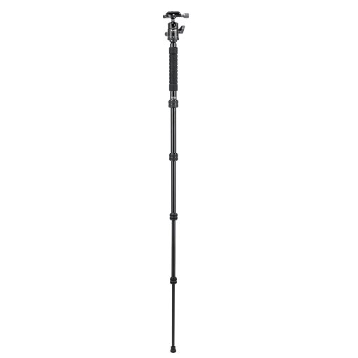 X-go Gecko E 2 - Image 8