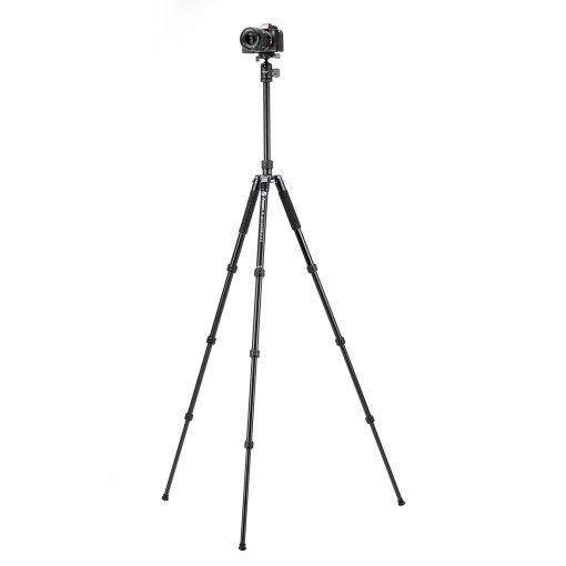X-go Chameleon E 2 - Image 6