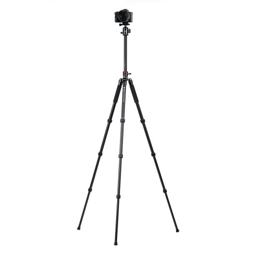 X-go HR Chameleon E 2 - Image 3