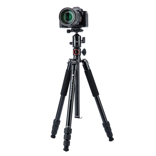 X-go HR Chameleon E 2 - Image 5